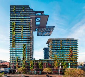 Austrália tem jardim vertical mais alto do mundo com 250 espécies