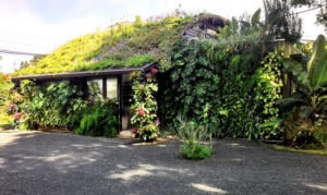 Ecotelhado lança telhado verde com cisterna que possibilita melhor drenagem urbana