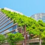 O que é o telhado ecológico?