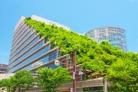 O que é o telhado ecológico?